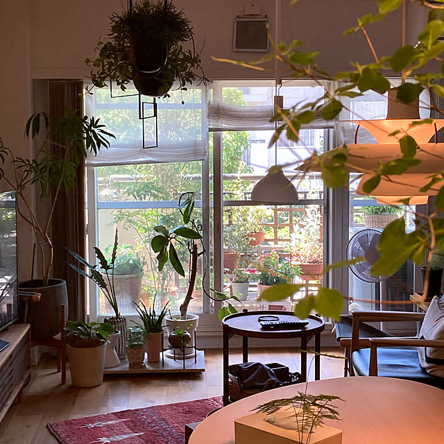 Dolamiさんの部屋