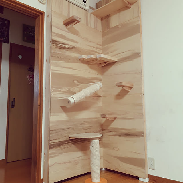 kazumiさんの実例写真