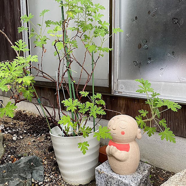shin0719さんの実例写真