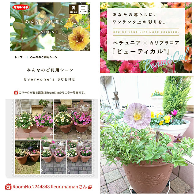 fleur-mamanさんの実例写真