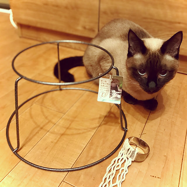 rikkanさんの実例写真