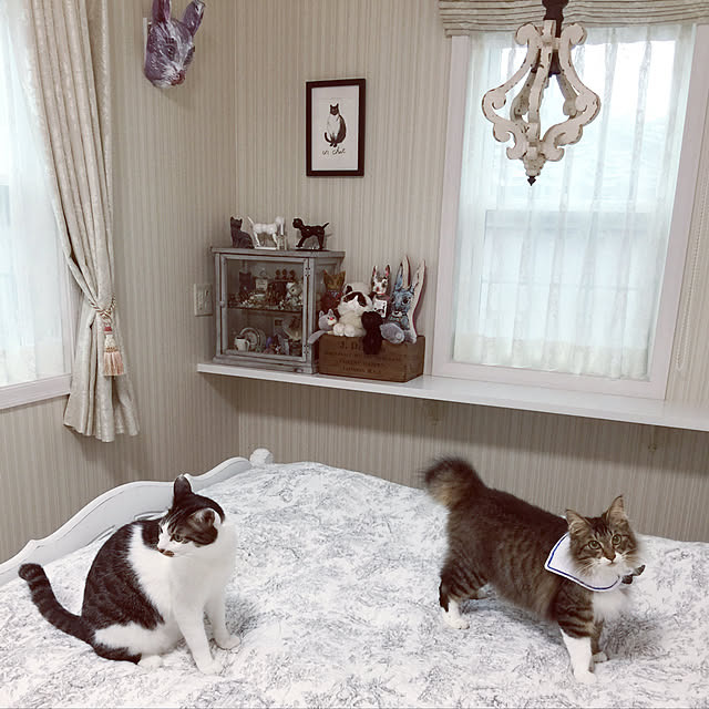 yuchiさんの実例写真