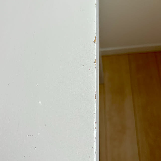 tintinさんの部屋