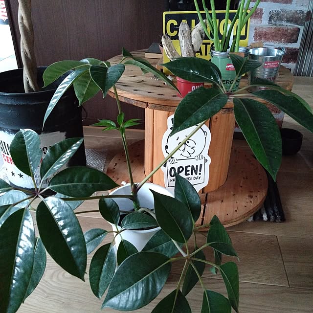 tomopiさんの実例写真