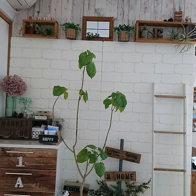 manatokyouyaharuさんの実例写真