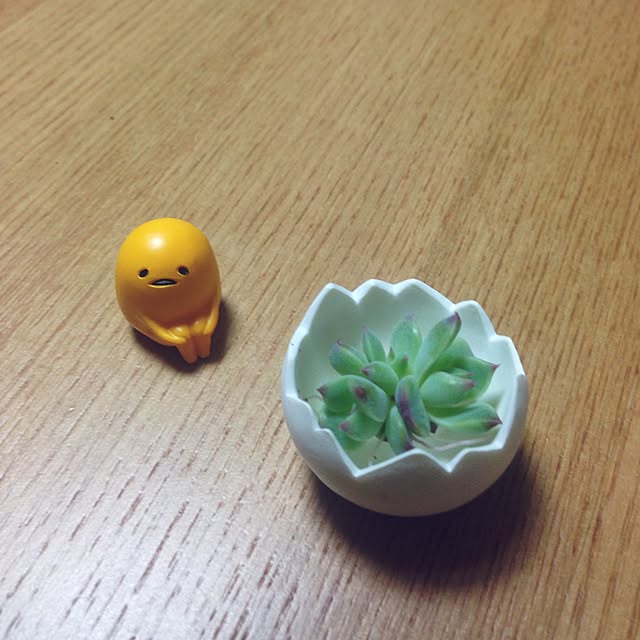 mamiさんの実例写真