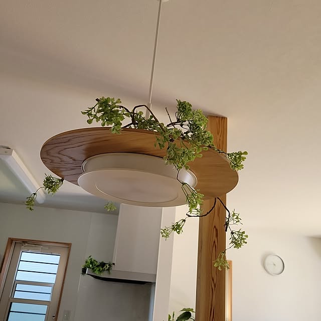 壁/天井のインテリア実例 - 2023-05-10 10:44:54