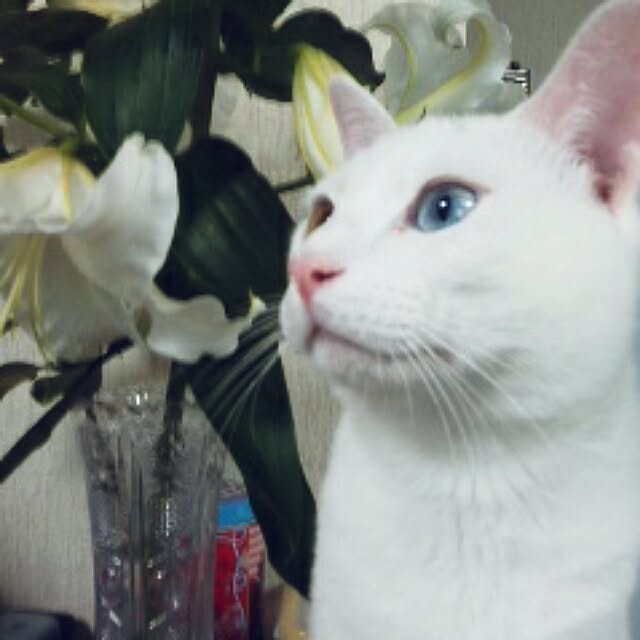 uuu22uさんの実例写真