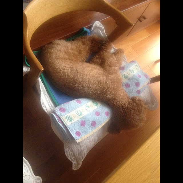 FOURさんの実例写真
