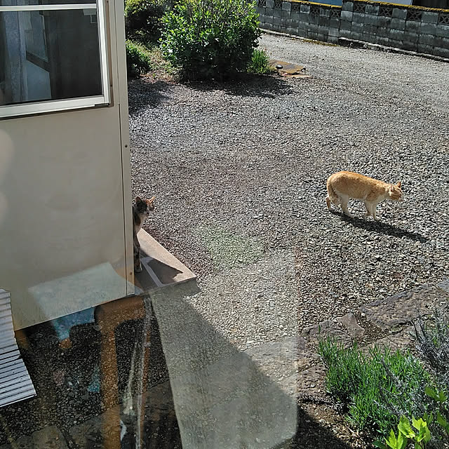 hiroさんの実例写真