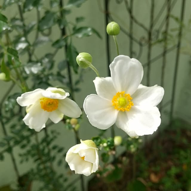 Rさんの実例写真