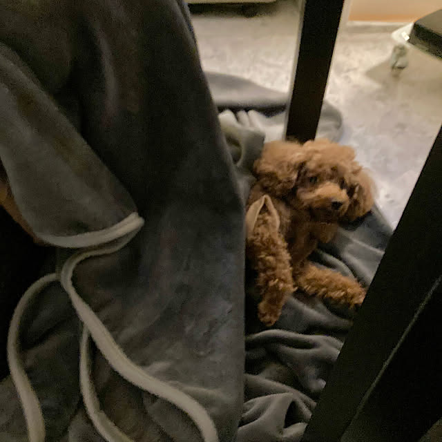 MOMOMAMAさんの実例写真