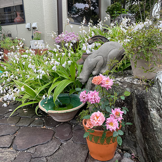 shin0719さんの部屋