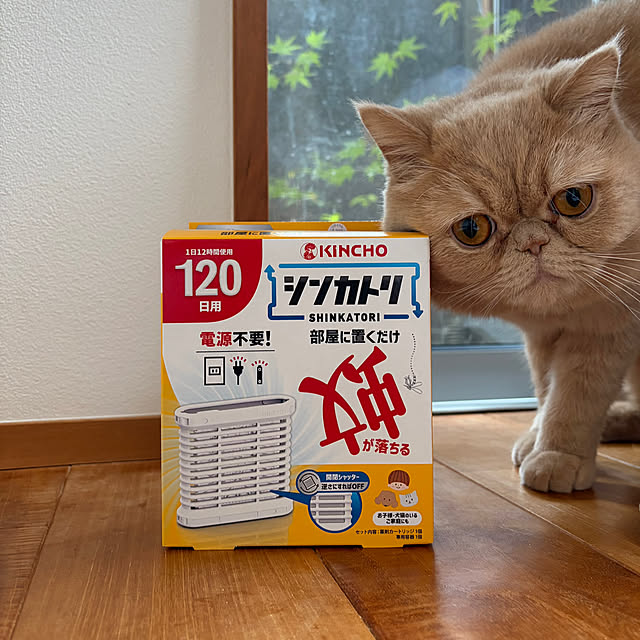 sznoieさんの実例写真