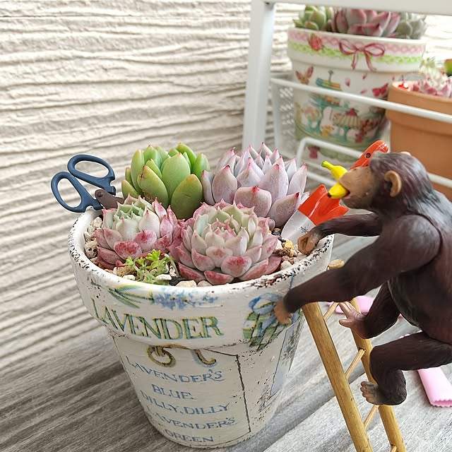 meiさんの部屋