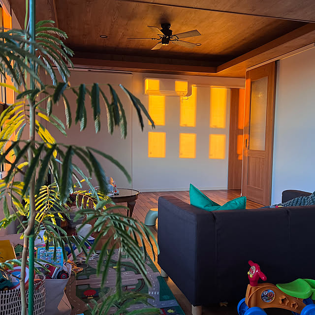 pokowheeさんの部屋