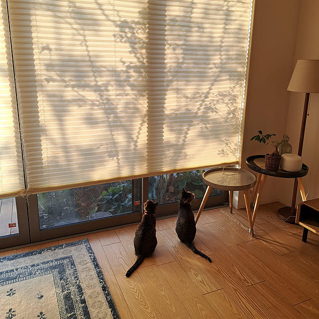 Saranさんの実例写真