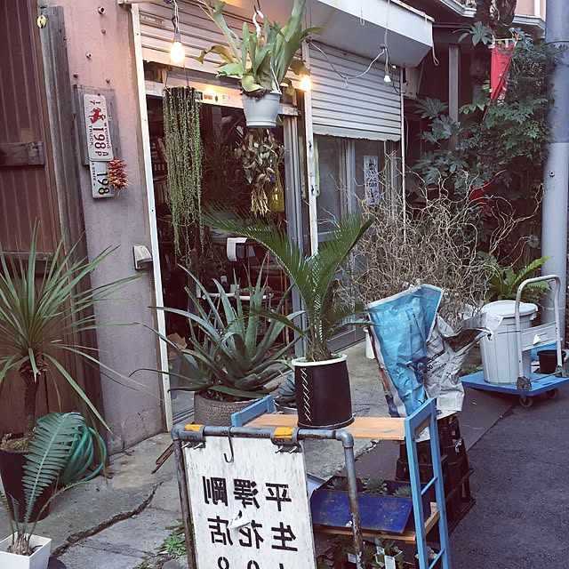 実例写真