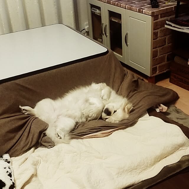 yukagomaさんの実例写真