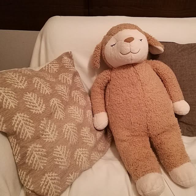 iderakkoさんの実例写真