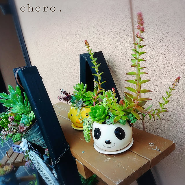 chero.さんの実例写真