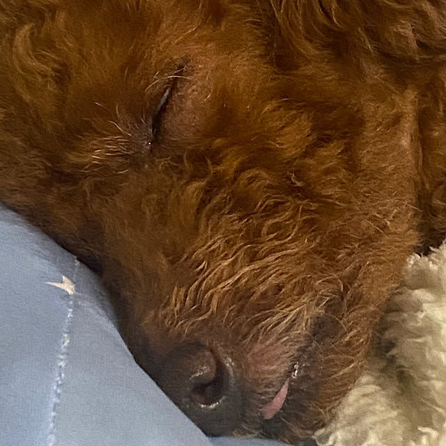 monokoさんの部屋