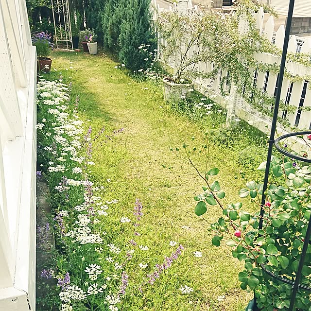 kiyosukeさんの実例写真