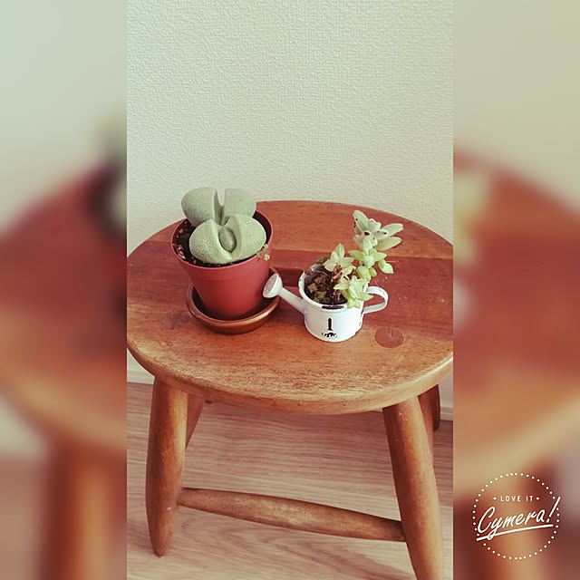 mariacchiさんの実例写真