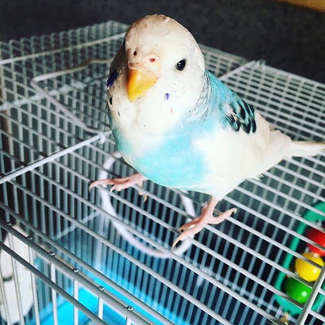 mkpk826さんの実例写真