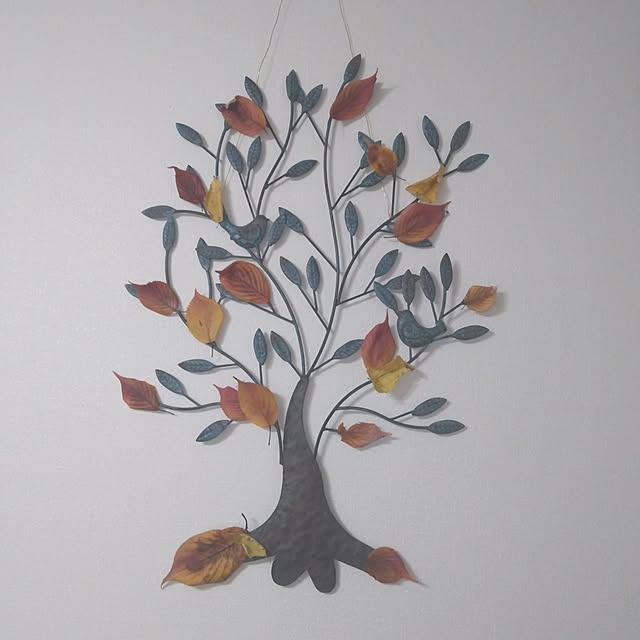 akichanさんの実例写真