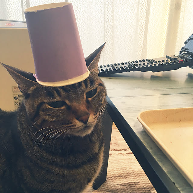 shigimiさんの実例写真