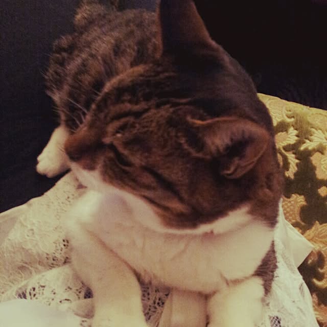 emmyyさんの実例写真