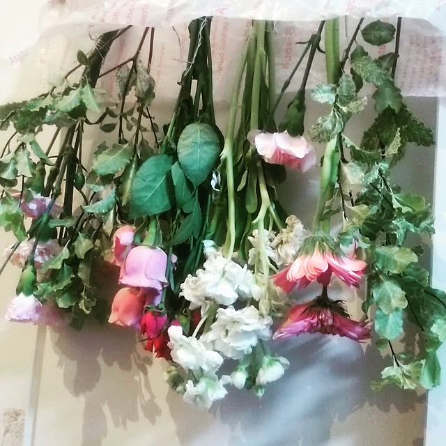 t_o314oさんの実例写真