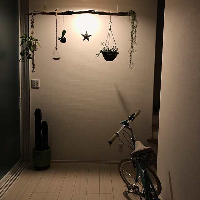 Mihocoさんの実例写真