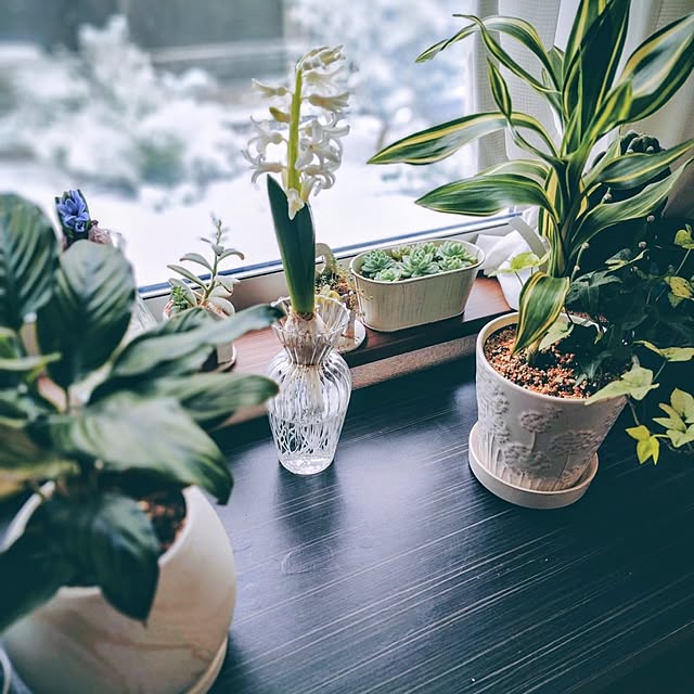 coconathuさんの実例写真