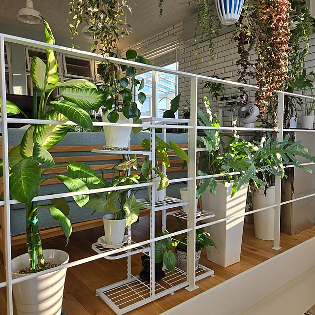nonbiri_house_さんの部屋