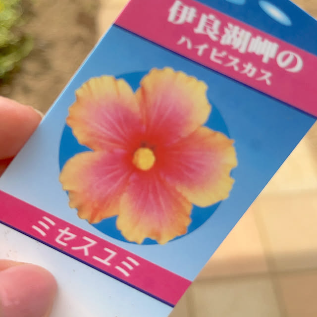 eriharuさんの部屋