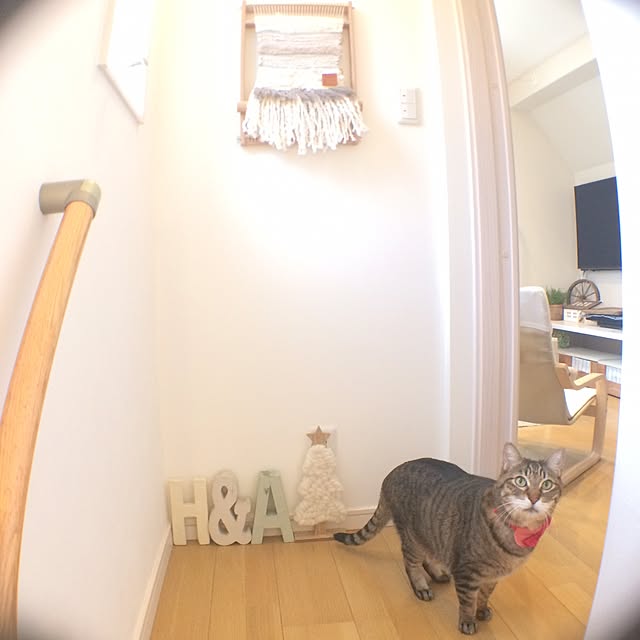 lovecatさんの実例写真