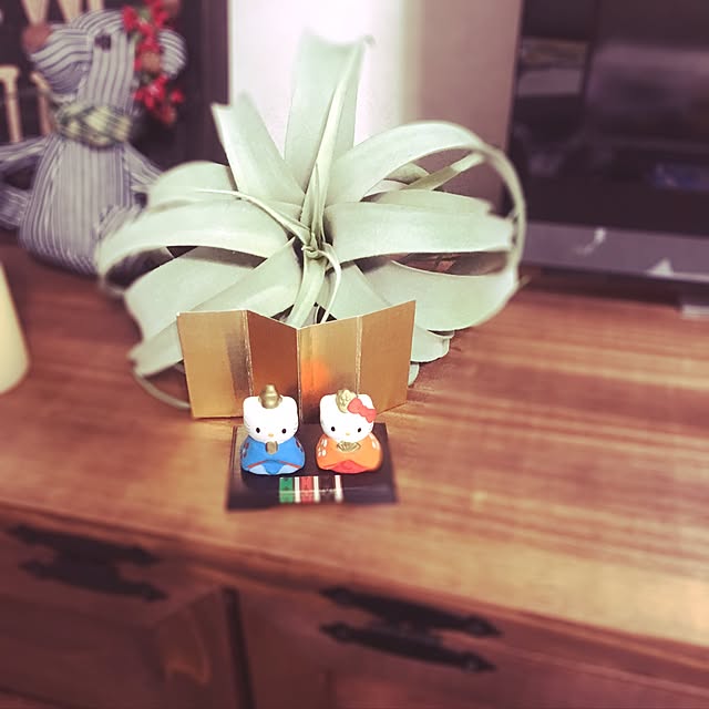 poncocoberryさんの実例写真