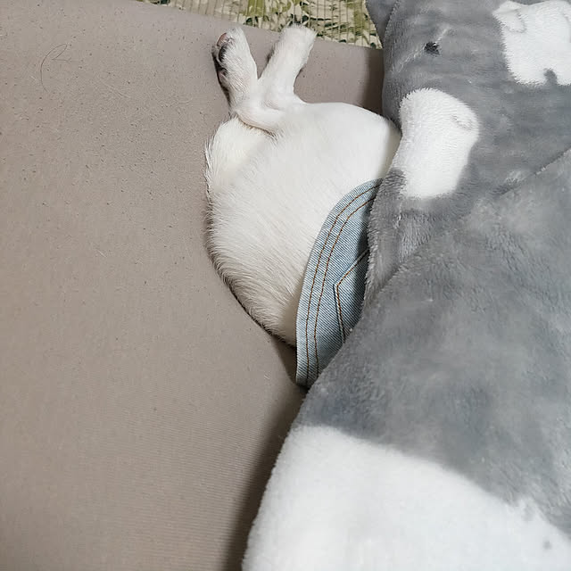 marosukeさんの実例写真