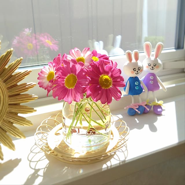 pecoさんの実例写真