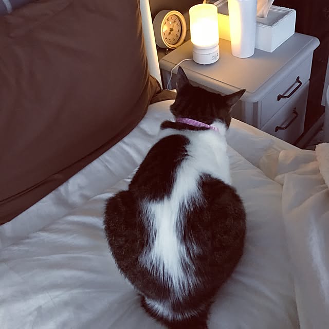 Shihoさんの実例写真