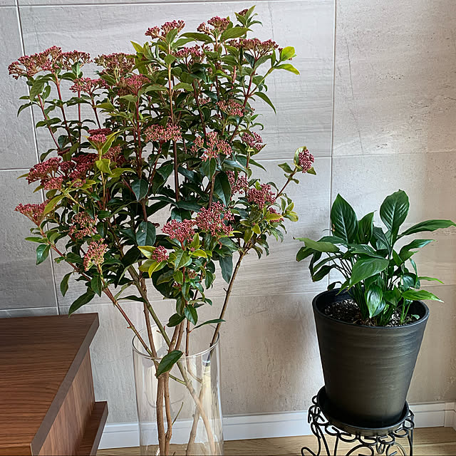 romiromiさんの実例写真