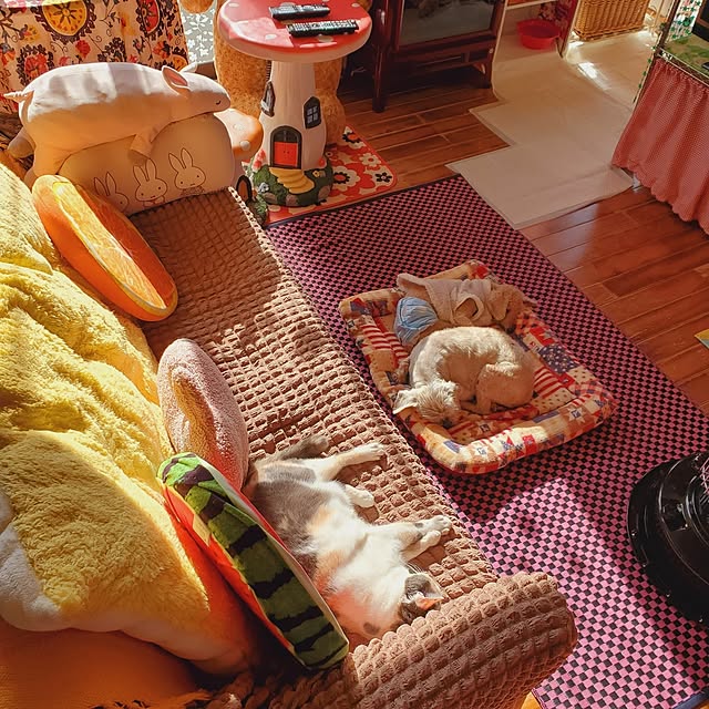 kumutanさんの部屋