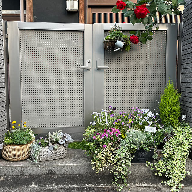 maayaさんの部屋