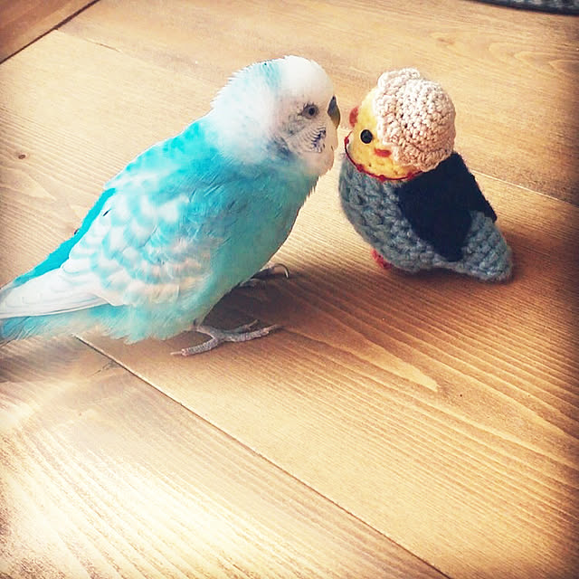 ponponHOUSEさんの実例写真
