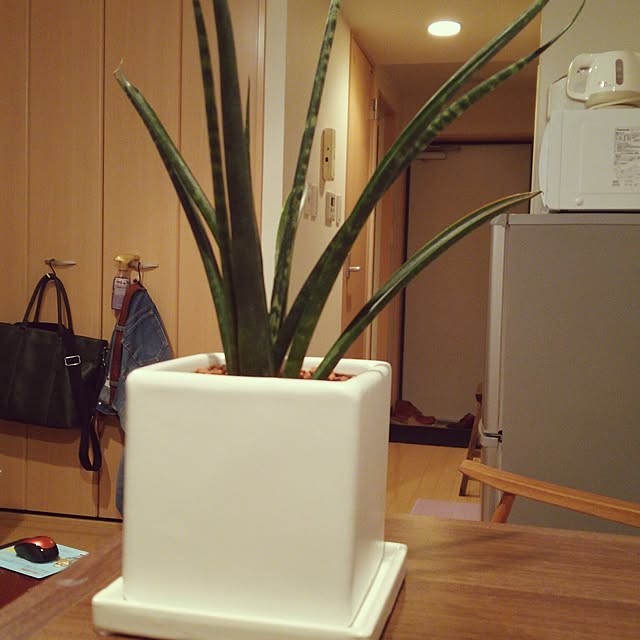 Takahiroさんの実例写真