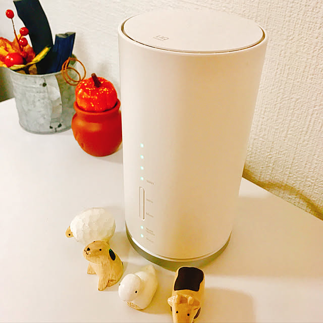 siratamaさんの実例写真