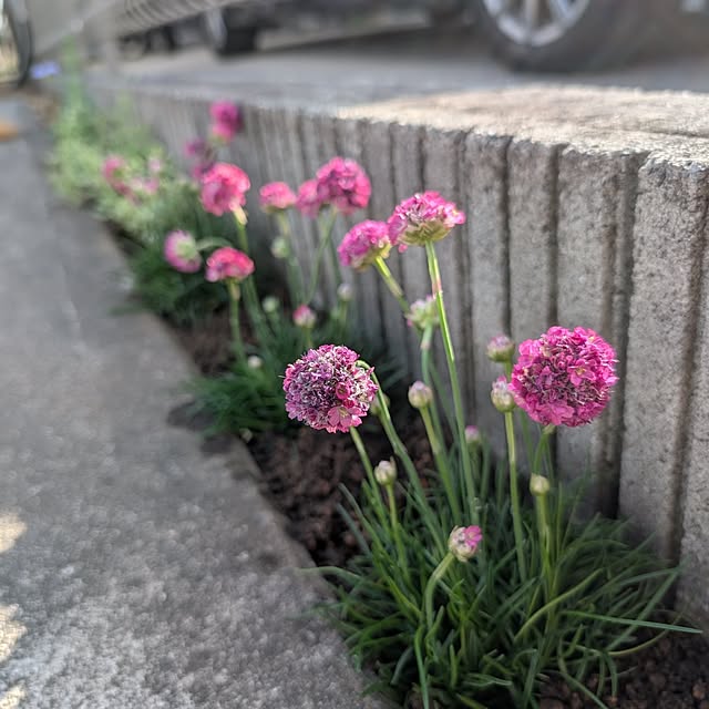 KOHAKUさんの実例写真