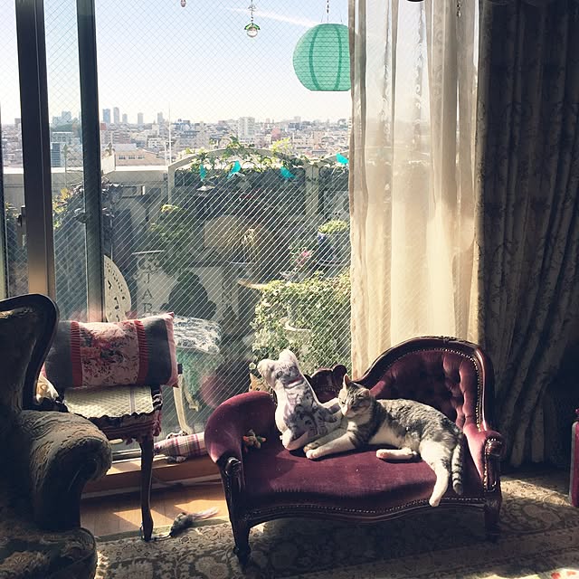 emmyyさんの実例写真